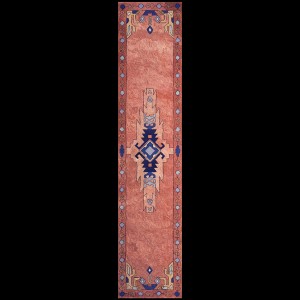 American Hooked Rug #6462